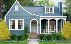 Gold Mop Threadleaf Cypress - 1 Gallon Pot -OLALA Plant Shop chamaecyparis pisifera gold mop cypress 105 1