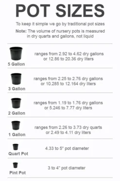 Best Seller -OLALA Plant Shop pot size chart 2022 200